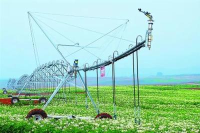 強化農業科技創新與應用 推進現代種業科技支撐與水果種植提質增效