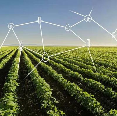 大力推動鄉村文化振興與農業技術開發的雙輪驅動