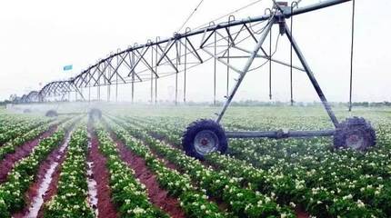 是什么讓「水深火熱」的以色列成為第二個硅谷？——從水果種植到科技創新的啟示