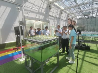 科技開發處組織參觀南京農業智慧園區 探索水果種植的數字化創新