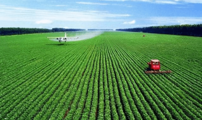 湖北農村致富新路徑 農業技術開發引領產業升級