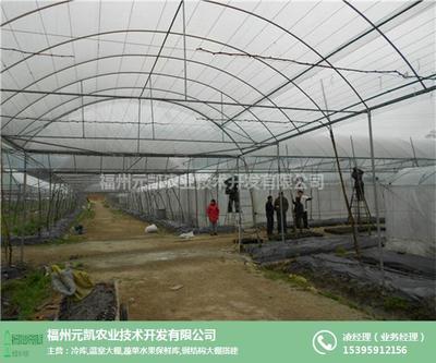 福建塑料溫室大棚造價解析及水果種植應用——以福州元凱溫室大棚為例