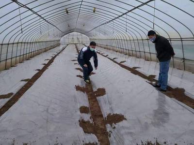 武漢市農(nóng)技中心依托科技編織抗疫“菜籃子”