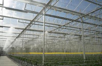 歐荷生態(tài)小番茄 全自動(dòng)化生長環(huán)境控制的技術(shù)解析